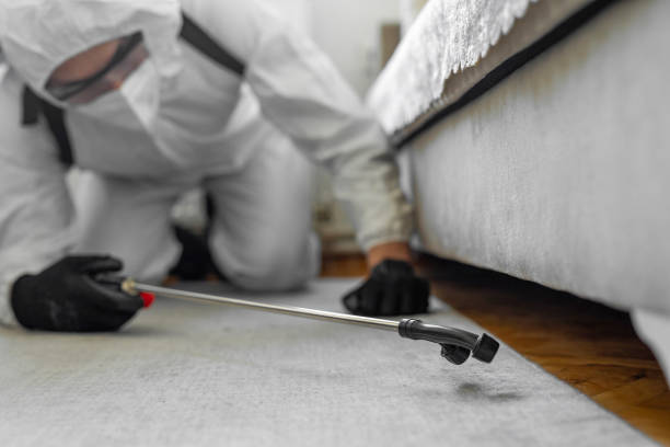 Professional Cockroach Control technician working in Monroeville, OH