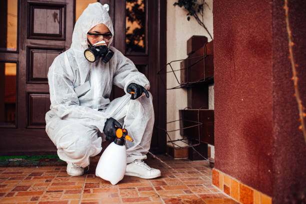 Reliable Cockroach Control contractor in Monroeville, OH by Nex Pest Control